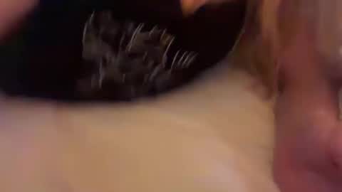 lucyheifer online show from April 13, 1:32 am