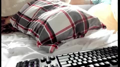 luffykun300 online show from October 13, 6:32 pm