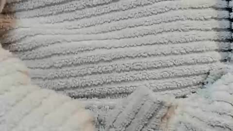 lustgardener67 online show from December 15, 4:48 pm