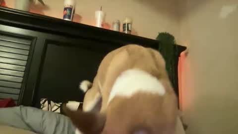 luvrxstarx online show from December 2, 3:27 am