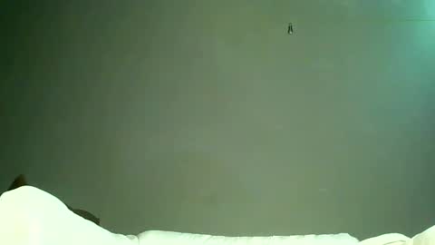 Bee Bee online show from May 26, 6:52 am