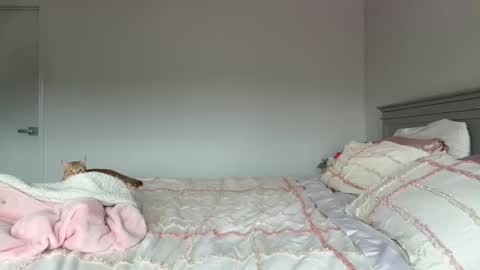 Lydia Owen online show from May 13, 12:31 am