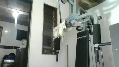 Snapshot of m0ntana777 chatting on September 15, 10:28 am m0ntana777 online show from September 15, 10:28 am