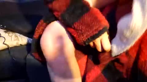 MARCUSNYX online show from October 15, 2:40 pm