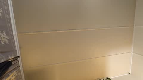 MARCUSNYX online show from November 21, 7:56 pm