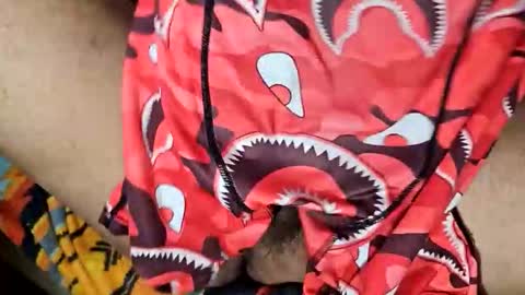 maggot88 online show from March 21, 8:19 am