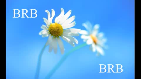 magic_katarina_ online show from January 8, 7:14 am