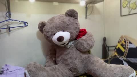 Bella online show from April 16, 6:35 am