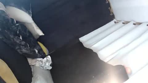 Lei online show from January 12, 7:11 am