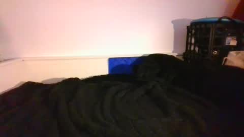 Snapshot of malebdsmslut chatting on December 14, 9:56 pm CommandbondageNipples bondage kink submissive lovense slave wgear. modequiethvyBondage If Password goldfish online show from December 14, 9:56 pm