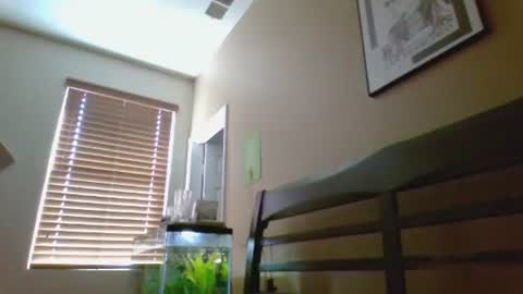 guywittitsndick online show from November 2, 8:20 pm