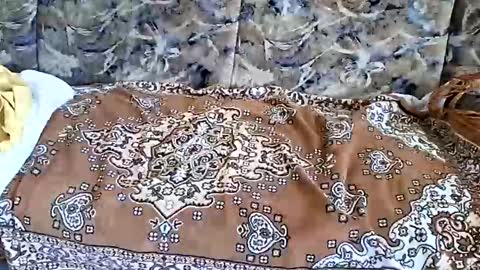 Snapshot of marian20242025 chatting on November 1, 7:07 am marian20242025 online show from November 1, 7:07 am