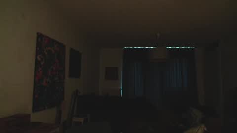 Roger online show from December 31, 12:46 pm