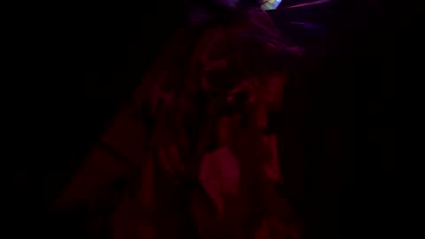 masterclm online show from October 14, 5:32 am