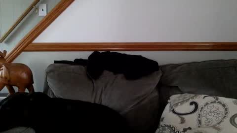 masterdutch44 online show from November 17, 6:54 pm