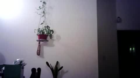 matifolk online show from February 19, 11:04 pm