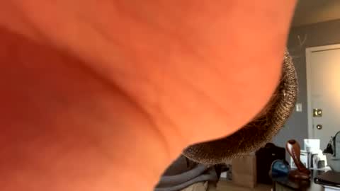 Matt online show from December 17, 5:08 pm