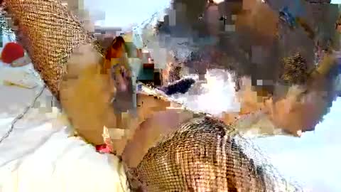 mauro sex online show from February 6, 6:02 pm