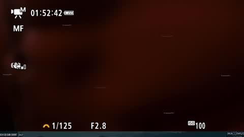 Maximus7871 online show from January 31, 11:35 pm