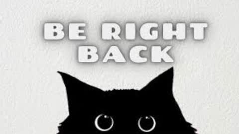 Maya online show from November 11, 4:36 am