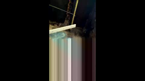 mayzeboomin online show from March 29, 3:13 pm