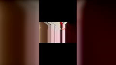 mcgriffwes2 online show from February 12, 2:15 am