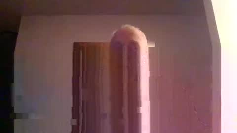 mdane99 online show from January 15, 3:04 am