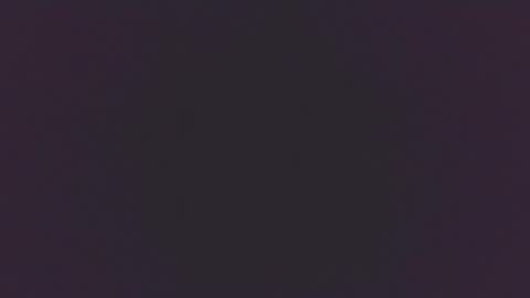 SHAROLD online show from November 29, 12:02 pm