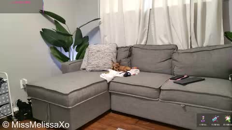 Mistress Missy online show from January 14, 5:32 pm