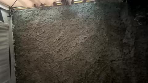 melodysnow online show from January 15, 6:06 pm