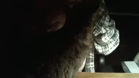 I am usually high and horny...lol online show from April 12, 3:10 am