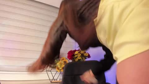 Merida  online show from March 8, 3:56 pm