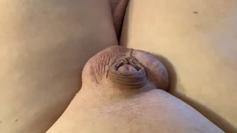 Wade online show from January 28, 7:21 pm