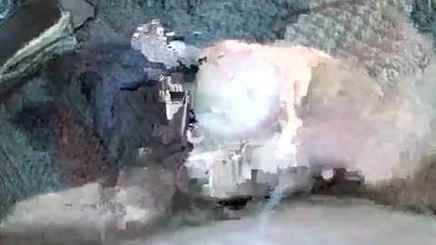 mexianthehawk online show from November 3, 11:22 am