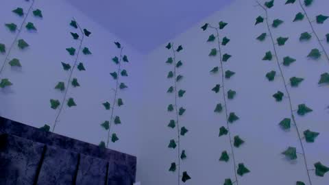 MIA online show from May 24, 12:07 am