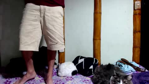 Mia  Sam online show from February 8, 4:38 am