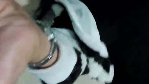 michelleleslie online show from October 11, 9:36 am