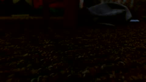 Miggy online show from December 24, 5:55 pm