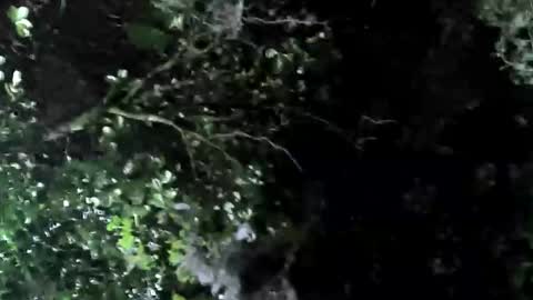 miky17cm online show from March 10, 3:33 am