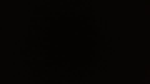 Rosalie  online show from February 16, 9:51 am