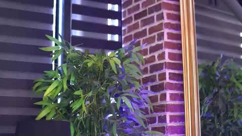 Snapshot of millaserene chatting on September 14, 6:04 am Milla online show from September 14, 6:04 am