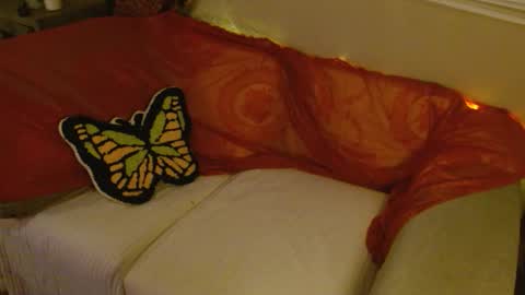 Mindy online show from March 17, 5:45 am