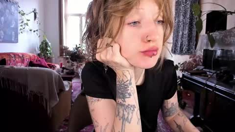 miranda2_0 online show from January 18, 8:31 am