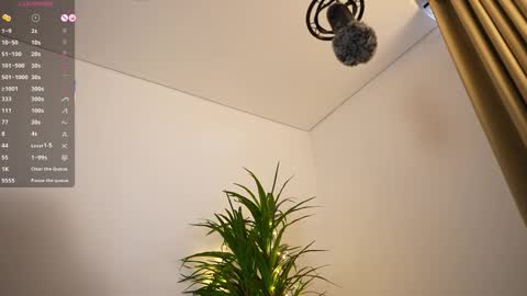 miss airi online show from January 31, 7:11 pm