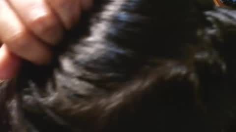 Sophie online show from March 11, 4:21 pm