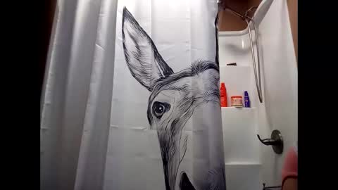 MissEeva online show from December 28, 2:01 am