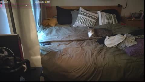 missemmbeex online show from February 23, 9:50 pm