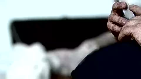 mm9319 online show from March 28, 9:54 am