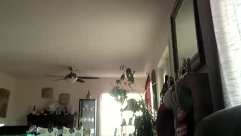 Monkee Dance online show from December 15, 6:26 pm