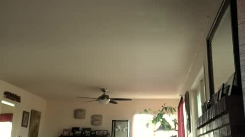 Monkee Dance online show from February 16, 5:37 pm